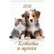 Котята и щенки