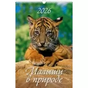 Малыши в природе