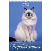 Породы кошек