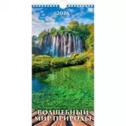 Волшебный мир природы