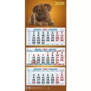 Забавный щенок