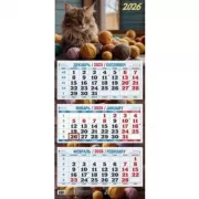 Пушистый кот