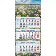 Солнечная поляна