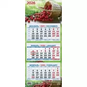 Спелая вишня