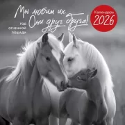 Год огненной лошади. Мы любим их. Они друг друга!