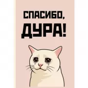 Спасибо, дура!