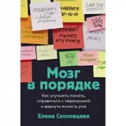 Мозг в порядке. Как улучшить память, справиться с перегрузкой и вернуть ясность ума