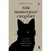 Как животные скорбят. Что чувствуют кошки, слоны, дельфины и другие, теряя близких