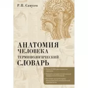 Анатомия человека. Терминологический словарь
