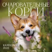 Очаровательные корги