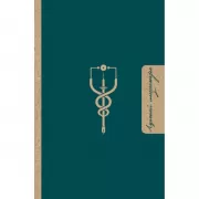 Лучшей медсестре