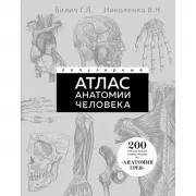 Популярный атлас анатомии человека. 200 классических иллюстраций из «Анатомии Грея»