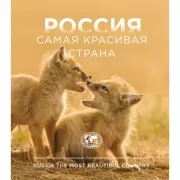 Россия самая красивая страна. Фотоконкурс 2025