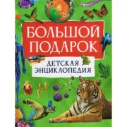 Большой подарок