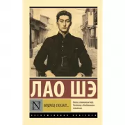 Записки о Кошачьем городе