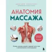Анатомия массажа. Основы массажа нижней и верхней части тела с анатомическими иллюстрациями