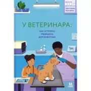 У ветеринара: как устроена медицина для животных