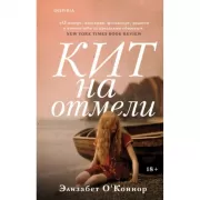 Кит на отмели