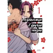 Незнакомцы в другой жизни. Том 1