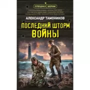 Последний шторм войны
