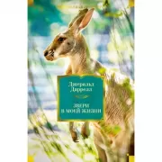 Лелишна из третьего подъезда