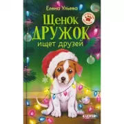 Щенок Дружок ищет друзей