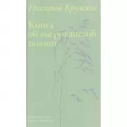 Книга об американской поэзии