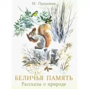 Беличья память