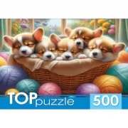 Красота волков