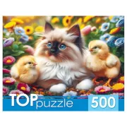 Красота волков