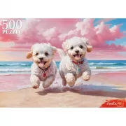 Набор шашек