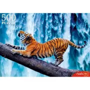 Красота волков