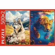 Набор шашек