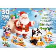 Набор шашек