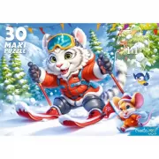 Набор шашек