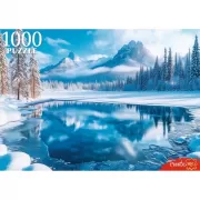 Набор шашек