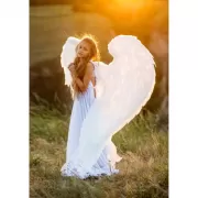 Музей-заповедник «Царицино». Путеводитель + карта