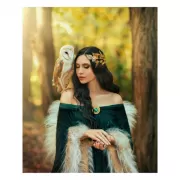 Музей-заповедник «Царицино». Путеводитель + карта