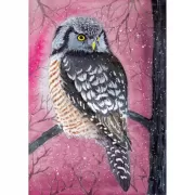 Красота волков