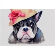 Красота волков