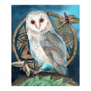 Красота волков