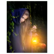 Музей-заповедник «Царицино». Путеводитель + карта