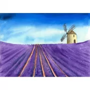 Красота волков