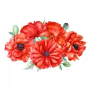 Музей-заповедник «Царицино». Путеводитель + карта