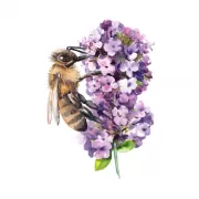 Музей-заповедник «Царицино». Путеводитель + карта