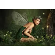 Красота волков