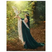 Красота волков