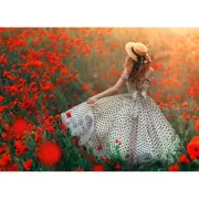 Красота волков