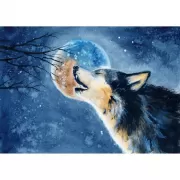 Красота волков