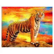 Красота волков